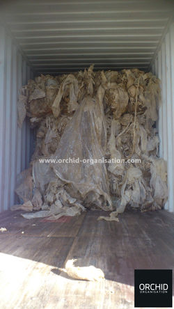 Agri LDPE Films - 40 Microns (Spain)