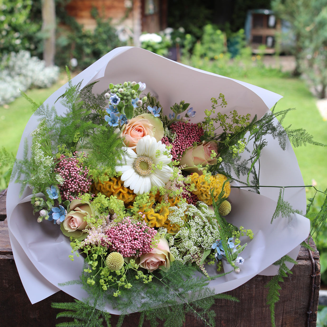 Kim's Friday Flowers