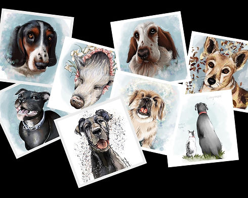 Animal Portrait Compilation