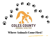 Where Animals Come First!.png