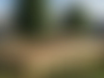 How Much Does Deck Framing Cost in Missouri?