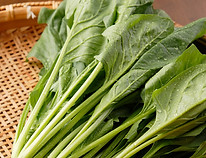 ほうれんそう_PCR0159.jpg
