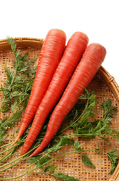 金時にんじんPCR_0021.jpg