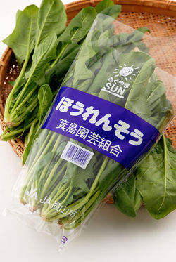 ほうれんそう_PCR0062