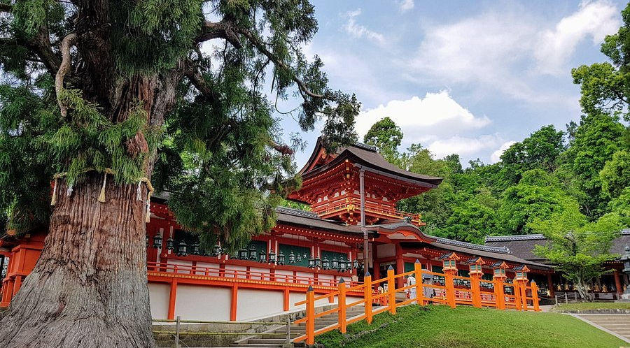 kasuga taisha.jpg