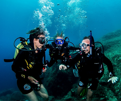 intro-dive-course.png