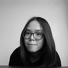 Vietnamese translator