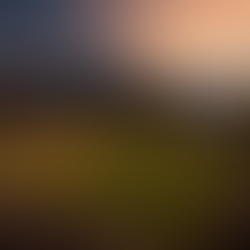 Your Downtown Denver Guide to Rockies Home Opener 2026