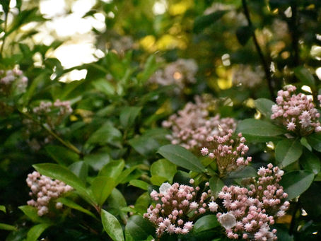 How to speak to yourself with more kindness without Judgement: A Practical Guide to Self-Compassion