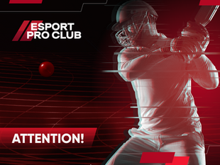 eCricket: MATCHES INTERRUPTED