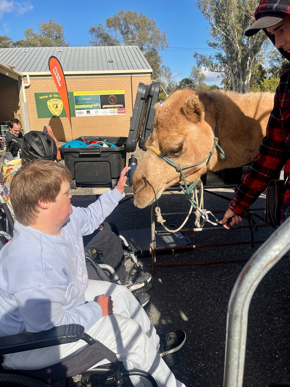 Bonnie the camel whisperer