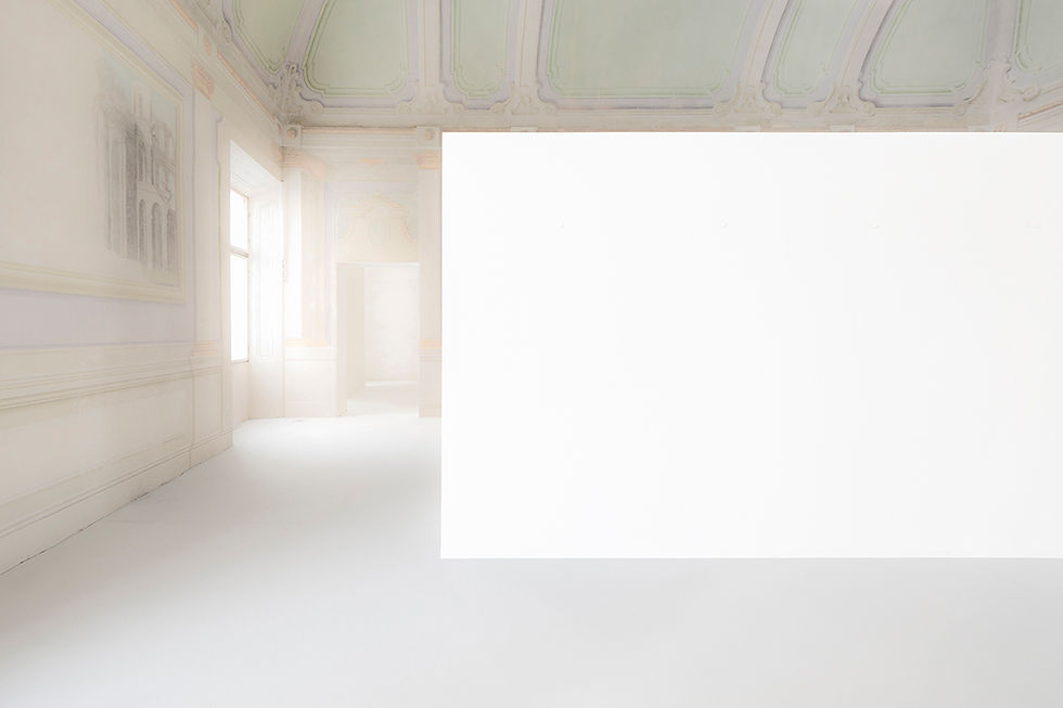 Luca Gilli, raw state #5411
