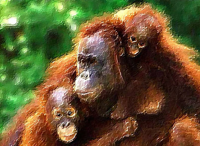 Wildlife5.jpeg