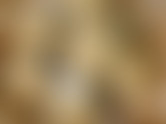 Easy PB Energy Bites