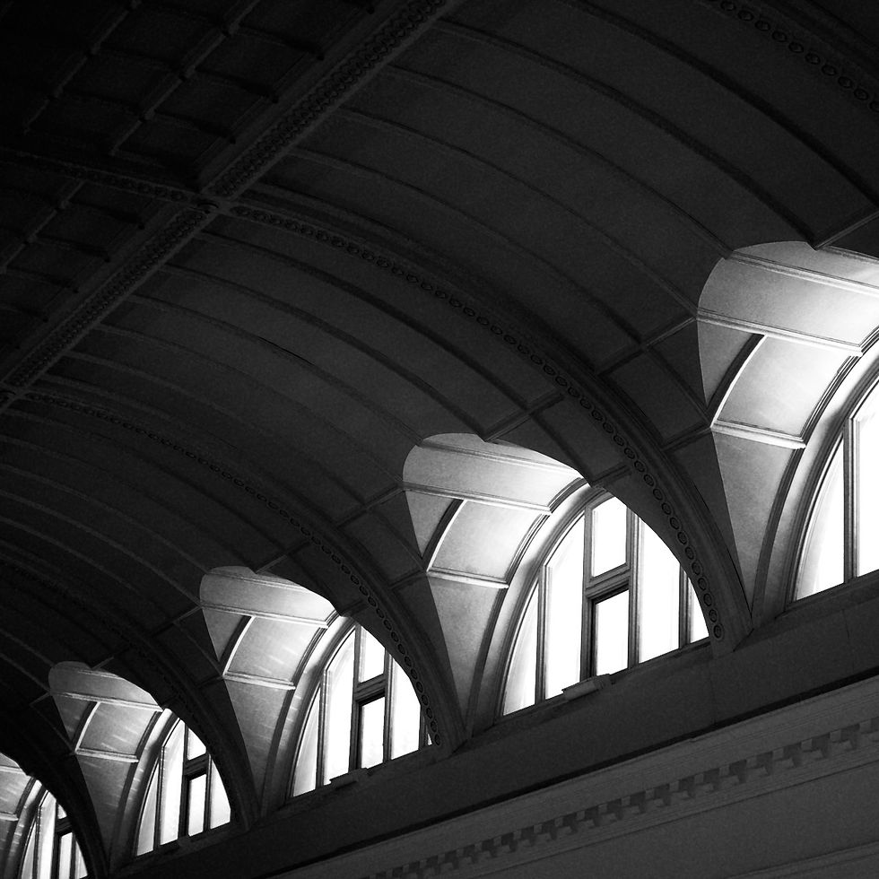 Library - 13 of 24