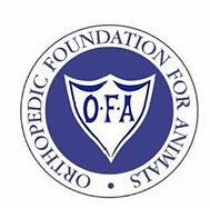 OFA logo.jpg