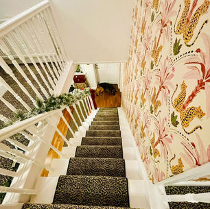 Bold Carpet Installation 