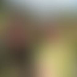 Virginia Capital Trail: Perfect 1-Day Itinerary