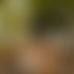 5 Best Edgar Allan Poe Sights in Richmond