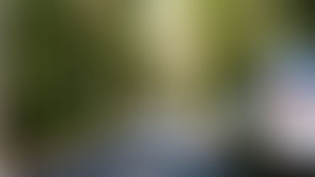 Reflections on 2025 and the Road Ahead in 2026