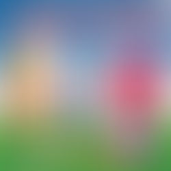 Yelken Bayrak Kullanırken Dikkat Edilmesi Gerekenler