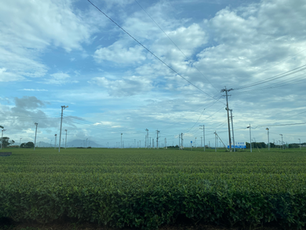 【枕崎出張番外編】出張先での感動 ~知覧特攻平和会館で出会った熊本の英雄~