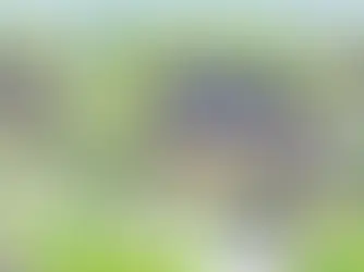 熊本で夢のエコ住宅!ゼッチ補助金を活用して理想の住まいを手に入れよう!