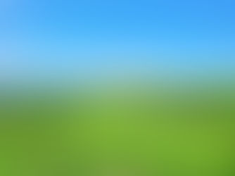 熊本・南小国町の「支障木伐採補助金」で安心な暮らしをサポート！