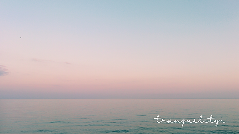 Progetto senza titolo.png