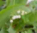 20190428_071359_edited.jpg