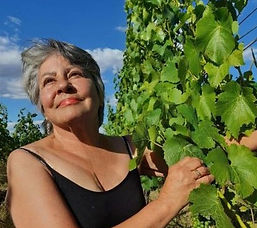 Jude Thomas, Mount Difficulty Central Otago pinot noir grapes