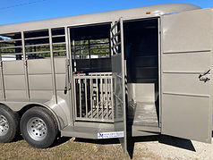 17' Pig Trailer #252.JPG