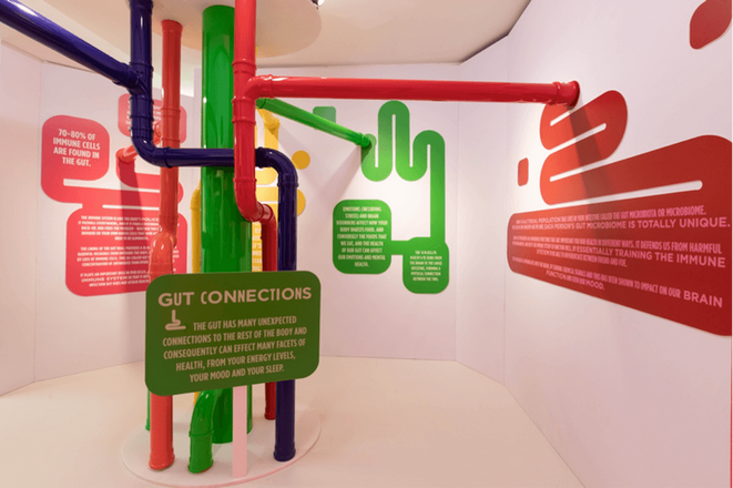 Danone Event - Activia Gut Connections.  Interactive, highly visual and immersive experience while learning about the intricate gut system.