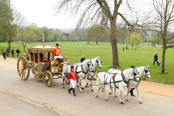 UBER horse-drawn, coronation carriage 