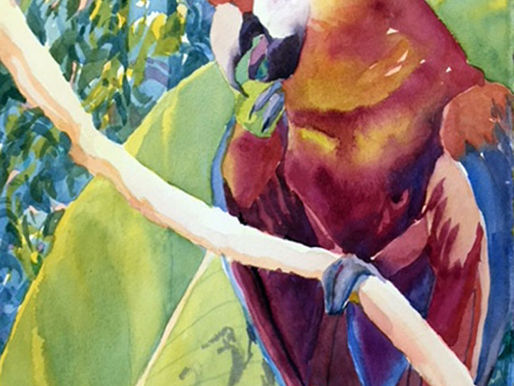 Welcoming October to our Majestic Southern Zone of Costa Rica