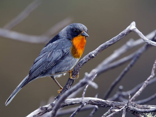 New Moon in September in our blessed Southern Zone of Costa Rica