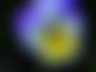 How Fortunate to be enjoying this Paradise in the Southern Zone of Costa Rica