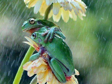 June is always beautiful in the beloved Southern Zone of Costa Rica