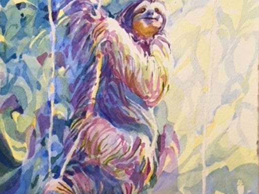 Loving Life in Ever Eventful Southern Zone of Costa Rica