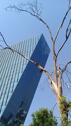 20180428_094127.jpg