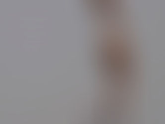 Viva La Independencia in our Magnificent Southern Zone of Costa Rica