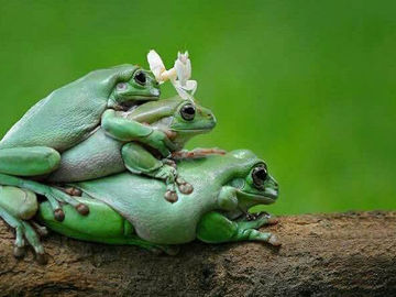 Welcoming November to our Glorious & Ever Wonderful Southern Zone of Costa Rica