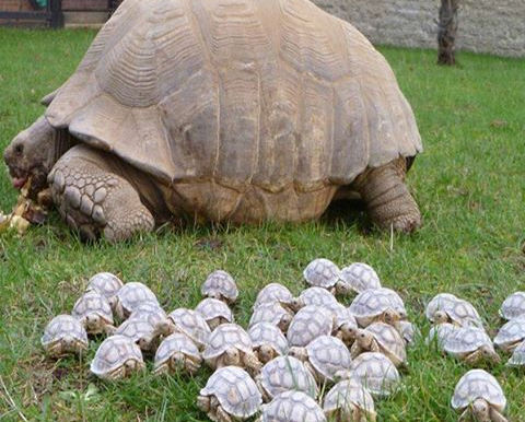 Mama Earth is Rocking & Rolling & Blowing & Shaking ... Enjoy the Tranquility in our Sou