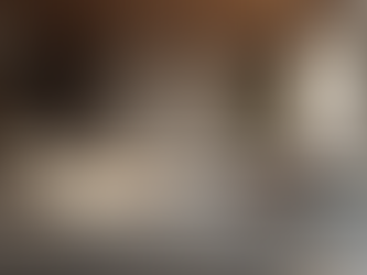 Beverly Hills Interiors: Where Italian Craftsmanship Meets Design