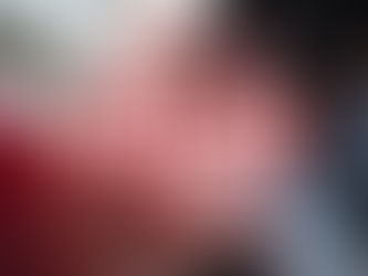 Notice to Renters against Scammers