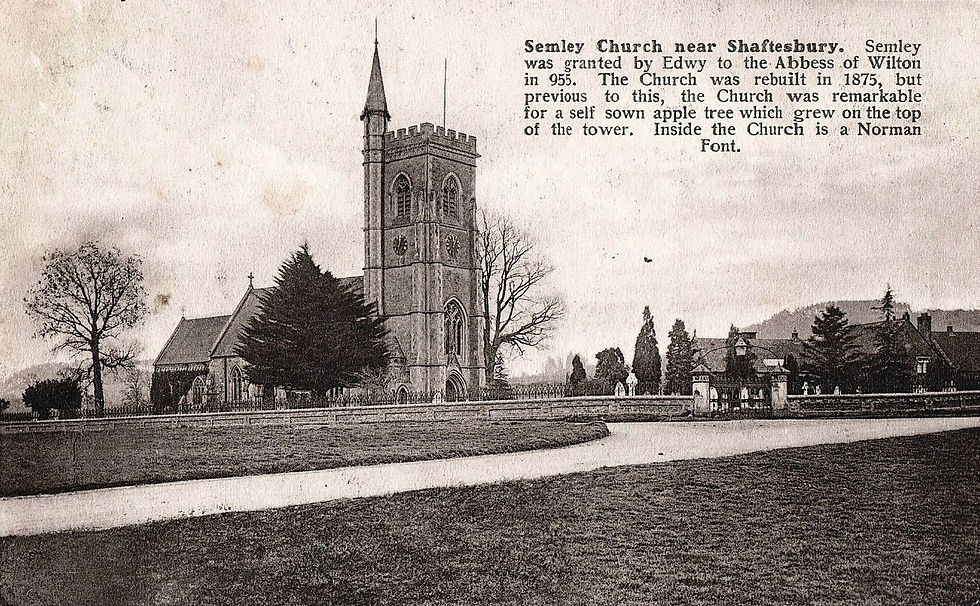 Family & Parish History : Semley