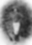 Family & Parish History : Wardour