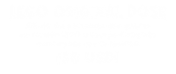 Opcion Nuevo LEGO.png