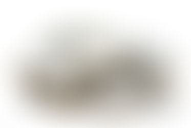 6 Tips to Prepare for Your Personal Property Appraisal