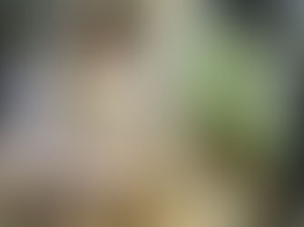 Fantastic Lifetime Collection in Williams, CA